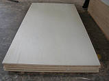 Фанера Вологостійка Морська Тополя, фото 3