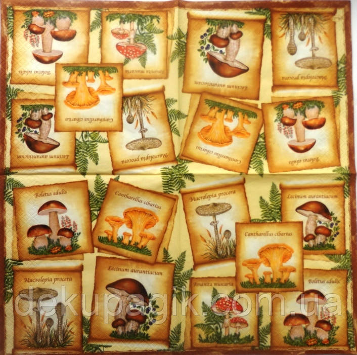 Серветка для декупажу ГР-1, фото 1