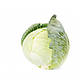 Насіння капусти Корсума F1 2500 каліброване насіння Rijk zwaan, фото 2
