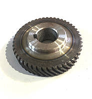 Шестерня дискової пилки (D41 / d12 z47 ліво) Зеніт