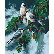 Картина за номерами Зимові птахи