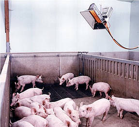 Абсолютная Автономия!Лучшее отопление поросят в свинарнике с помощью современных брудеров специально разработанных для свиноводческих ферм и другого животноводства. Обеспечивают естественную среду обитания для поросят. В разы экономят энергоресурсы.