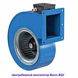 Відцентровий вентилятор радіальний равлик Вентс ВЦУ 4Е 250х140, фото 2