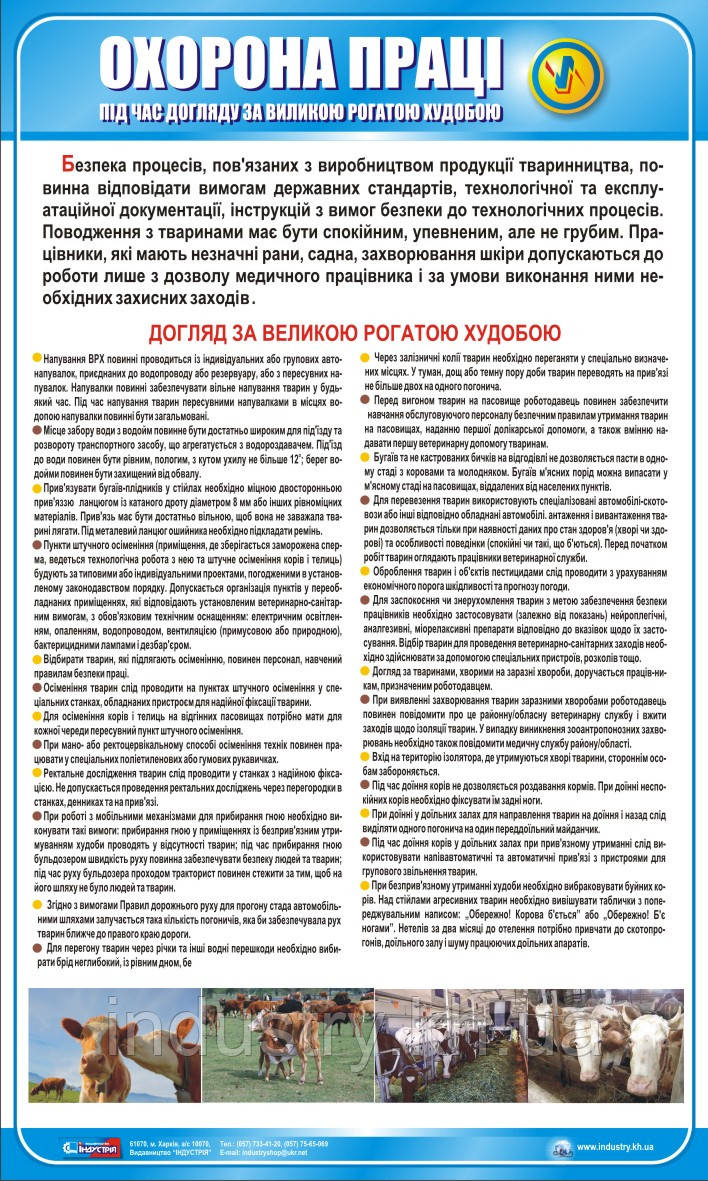 Стенд. Охорона праці при догляді за великою рогатою худобою. 0,6х1,0. Пластик