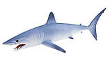 Іграшка акула Мако Safari Ltd. Mako Shark, фото 4