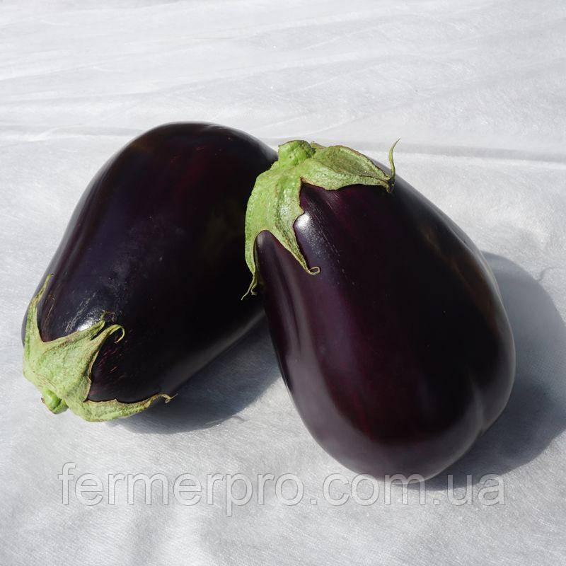 Насіння баклажана Сара F1/Sara F1 500 насіння Cora seeds