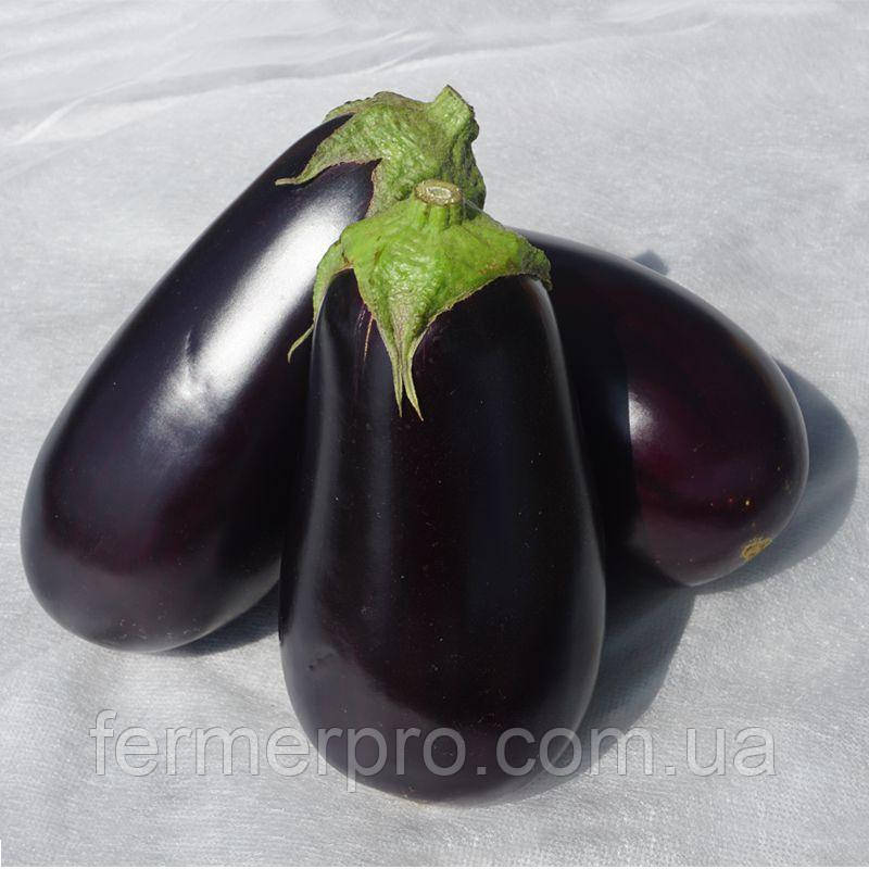 Насіння Баклажана Джокер F1 (CRX 50125 F1) 500 насіння Cora seeds, фото 1