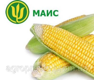 Насіння кукурудзи Новий МАЇС (ФАО 330)