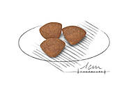 Royal Canin Mini Puppy корм для цуценят малих порід, 800г, фото 2