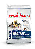 Royal Canin Maxi Starter корм для цуценят великих порід у період від'єму до 2-місячного віку, 4 кг, фото 2