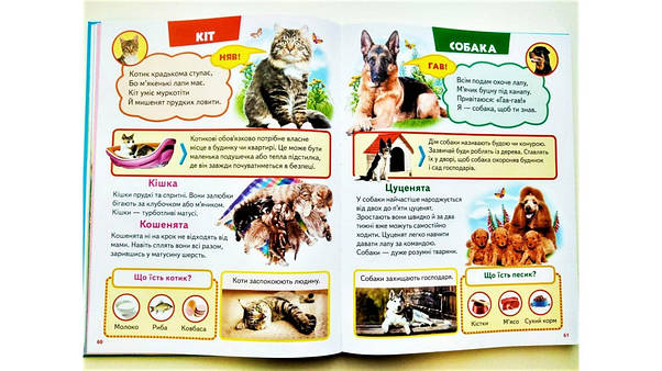 Енциклопедія для дітей "Велика книга знань для малюків" Пегас, фото 3