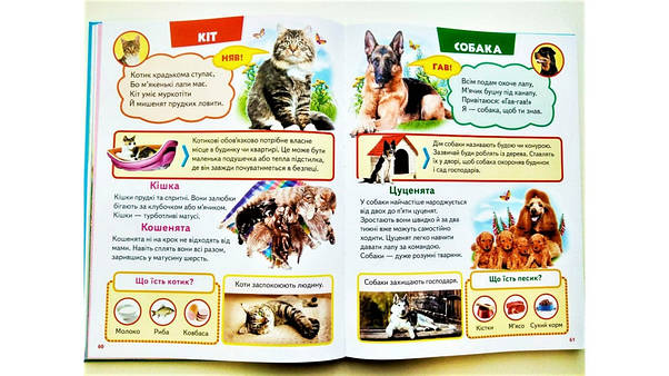 Енциклопедія для дітей "Велика книга знань для малюків" Пегас, фото 4