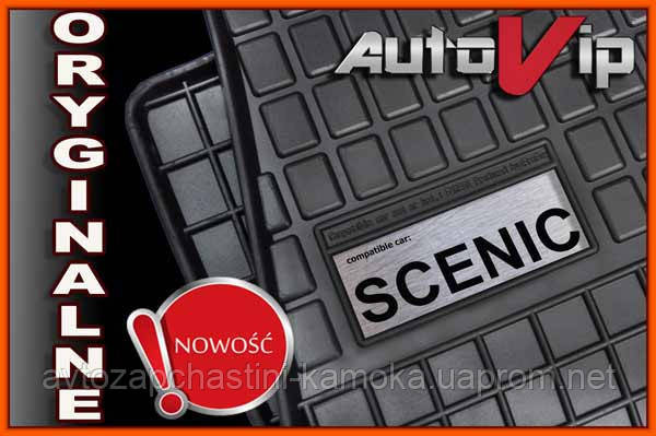 Гумові килимки RENAULT SCENIC 1996 - з лого
