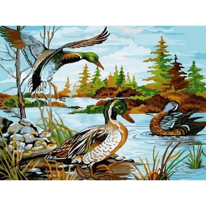 Картини за номерами Babylon Turbo Дикі качки VK208 30 х 40 см, фото 1