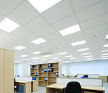 Світлодіодна панель (LED) 32 Вт 600х600 4000 К, фото 8