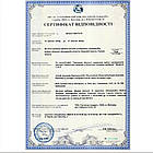 Трифала чурна/порошок (Triphala Choorna, SDM), 100 грам - Аюрведа преміум якості Бутік РОСА, фото 5