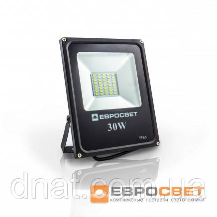 Прожектор EVRO LIGHT EV-30-01 6400 K 800 Lm SMD, фото 1
