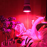 Фітолампа GR-28 (28 діодів), фото 4