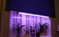 Світильник 2*36 Вт + лампи для рослин і акваріумів Osram Fluora 2*36 Вт фітолампа