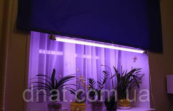 Osram fluora sale