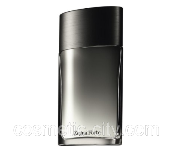 Ermenegildo Zegna Zegne Forte