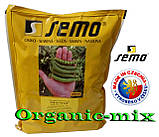 Ранній, цукровий, великий горох Оскар / Oskar (проф.пакет 1 кг), SEMO (Чехія) Імпорт жовтень 2024, фото 2