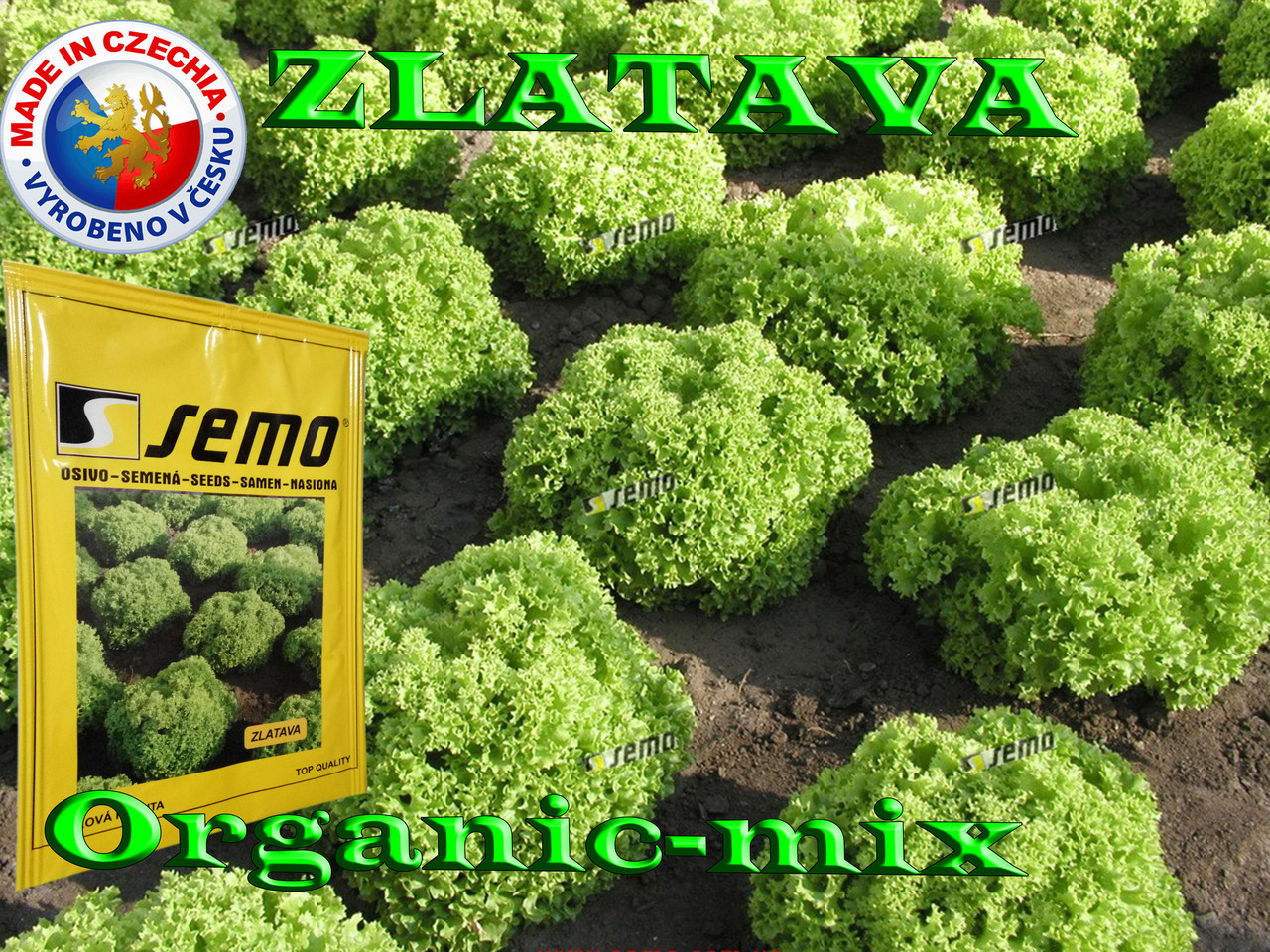 Салат ЗЛАТАВА/ZLATAVA ТМ SEMO (Чехія) проф. пакет 5000 насіння