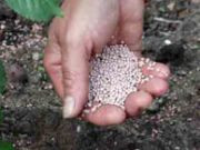 Цены на удобрения