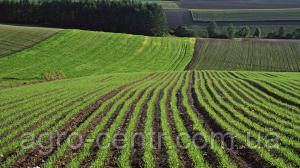 Весняна посівна