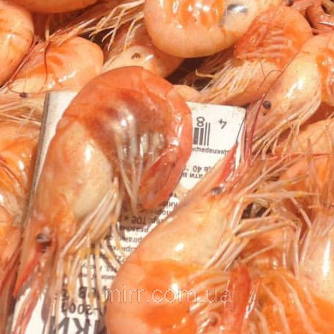 Креветка крупная Черноморская: продажа, цена в Днепре. Моллюски и ...