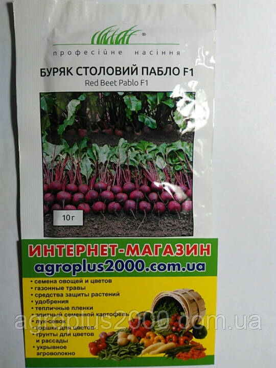 Насіння Буряк столовий Пабло F1, 10 грам Bejo Zaden