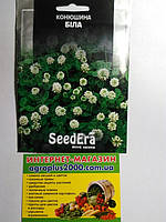 Семена Клевер декоративный белый 20 граммов SeedEra