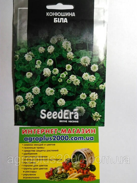 Семена Клевер декоративный белый 20 граммов SeedEra - фото 1 - id-p525364665