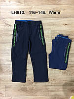 Лыжные утепленные штаны для мальчиков оптом, F&D, 116-146 см, № LH910
