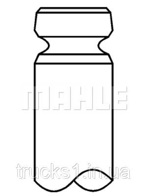 Клапан EX DAF WS.../XF... 213 VA 31023 000 (MAHLE), фото 1