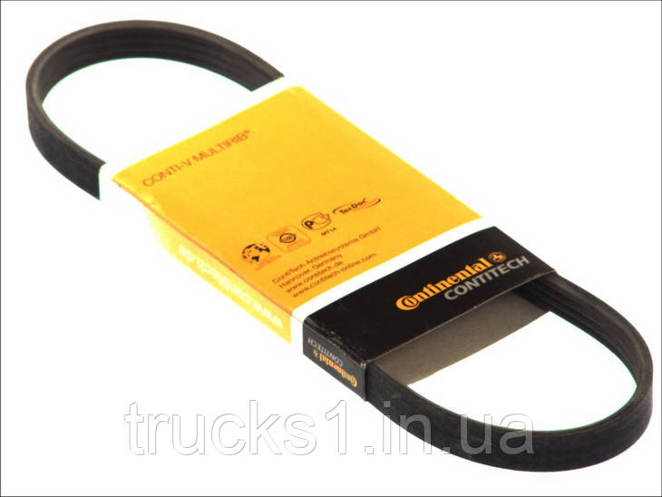 Ремінь багатоклиновий  4PK1022ELAST (CONTITECH), фото 1