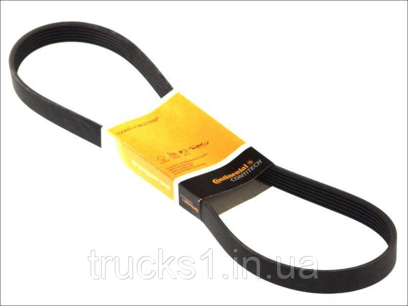 Ремінь багатоклиновий  6PK691ELAST (CONTITECH), фото 1