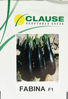 Насіння Баклажан Фабіна F1, 50 грамів Clause