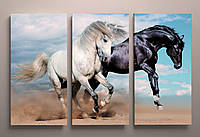 Картина на холсте из частей С лошадьми, Черная и белая лошадь, Красивые лошади 90х60 из 3-х модулей
