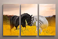 Картина модульна друк на полотні Чорна і біла кінь на жовтому полі Красиві коні 90х60 з 3-х частин