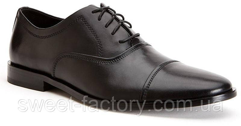 Туфлі Calvin Klein Nino Leather, фото 1
