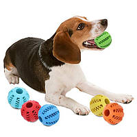 Іграшки та тренувальні снаряди для собак