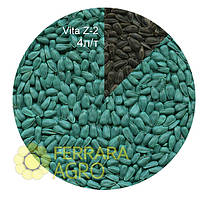 Фарба VITA Z-2 для насіння соняшнику, світло-зелена, 20 л