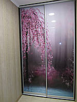 Шафа купе на замовлення вбудована Z-177