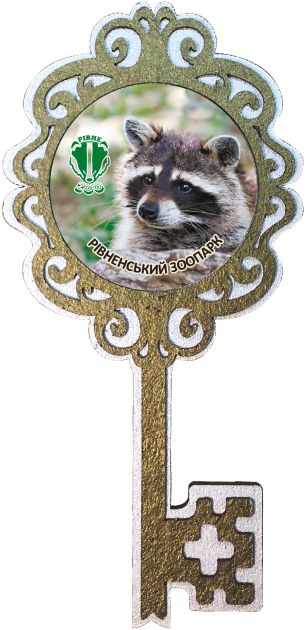 Магніт ключик. "Рівненський зоопарк" (єнот)
