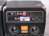 Акустика активна Temeisheng DP-2329 (USB/Bluetooth) 300 Вт, фото 5