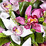 Великий кошик рожевих орхідей "Рожева гама", фото 3