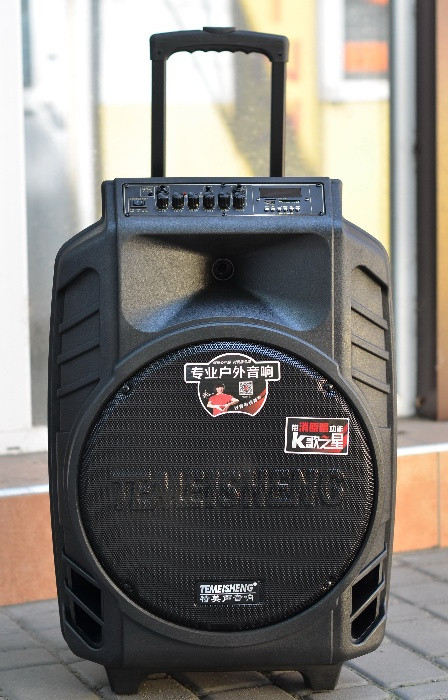 Колонка Temeisheng SL 15-08 з акумулятором, 15 дюймів, 2 мікрофони, MP3, Bluetooth, USB, SD, 150 W, фото 1