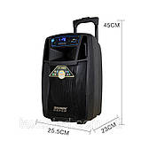 Колонка Temeisheng SL 08-01 з акумулятором, 8 дюймів, 2 мікрофони, MP3, Bluetooth, USB, SD, 100 W, фото 3