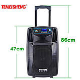 Колонка Temeisheng SL 08-01 з акумулятором, 8 дюймів, 2 мікрофони, MP3, Bluetooth, USB, SD, 100 W, фото 4